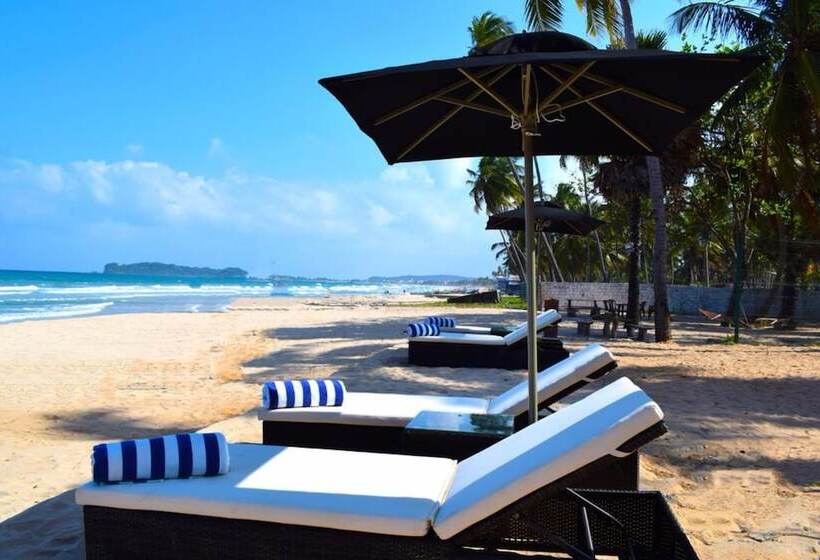 リゾートホテル Margosa Bay