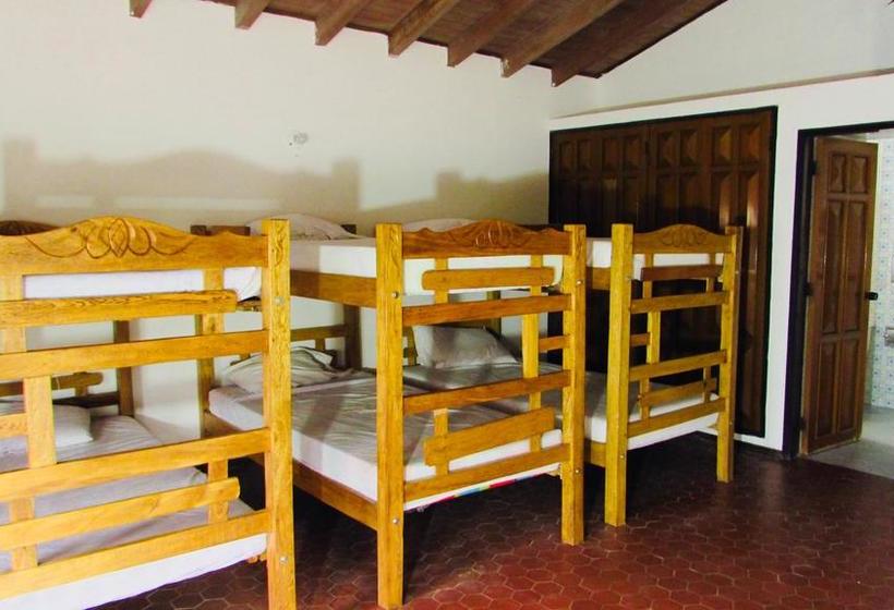 The Chill In Mansion Hostel Santa Marta