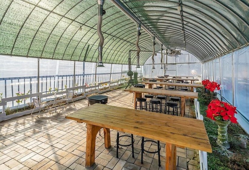 Ganghwa Herb Pension