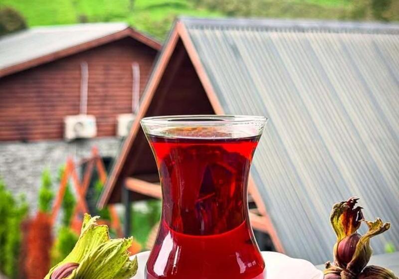 ホテル Green Yazä±cä±