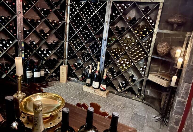 Отель Le Suisse Elegance