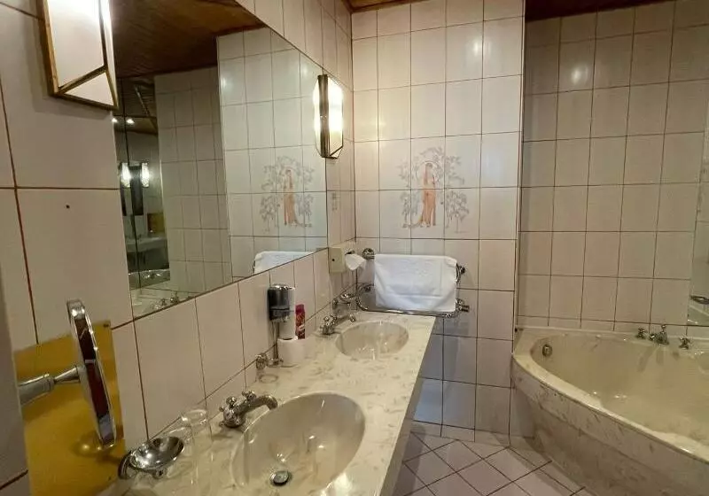 هتل Viktoria Vienna