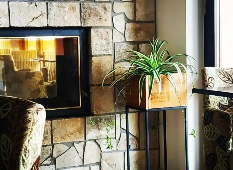 Hotelli Vytina Mountain View