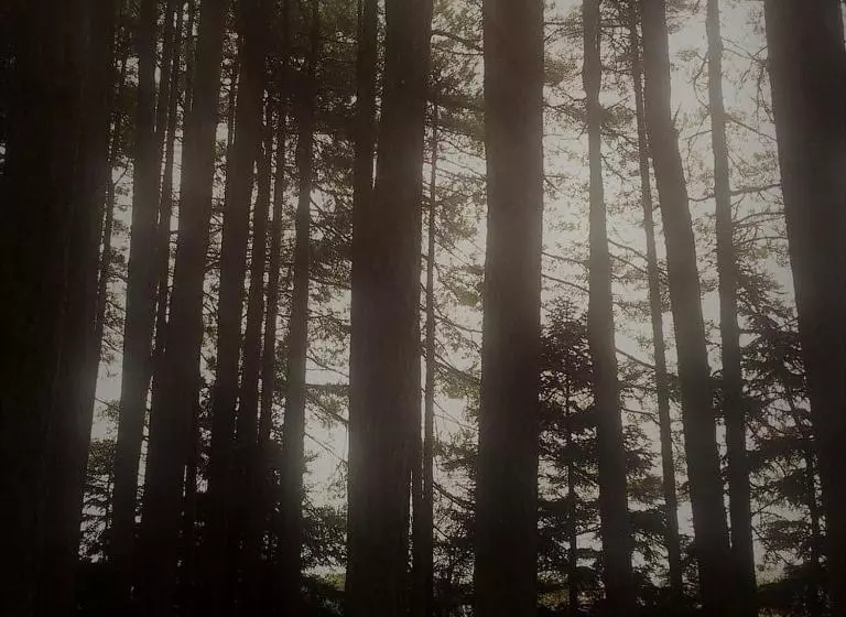 Hotelli Vytina Mountain View