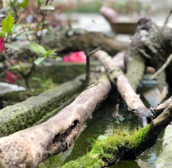 호텔 Emei Mountain Xileer