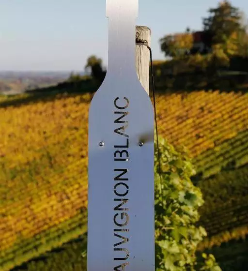 Hotelli Weingut Dreisiebner Stammhaus