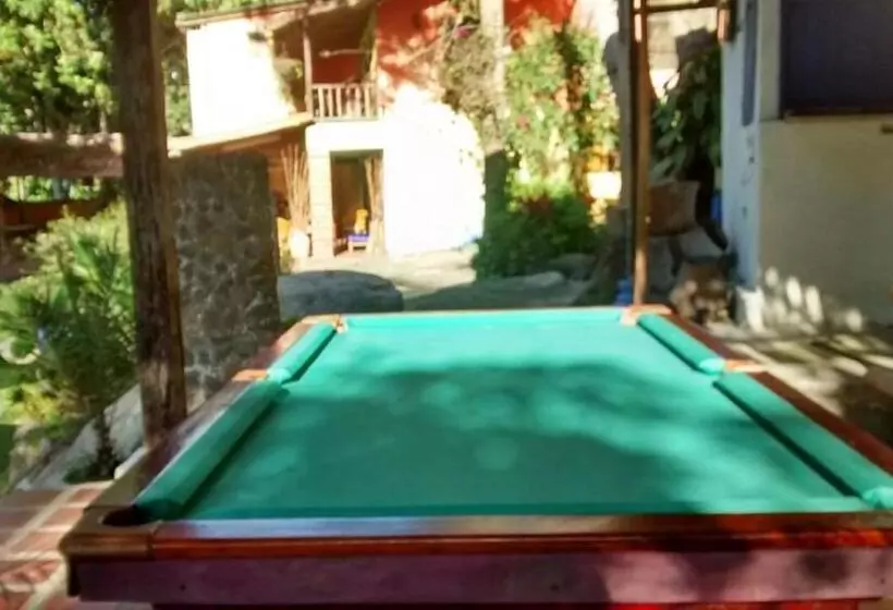 Selvablanca Hostel