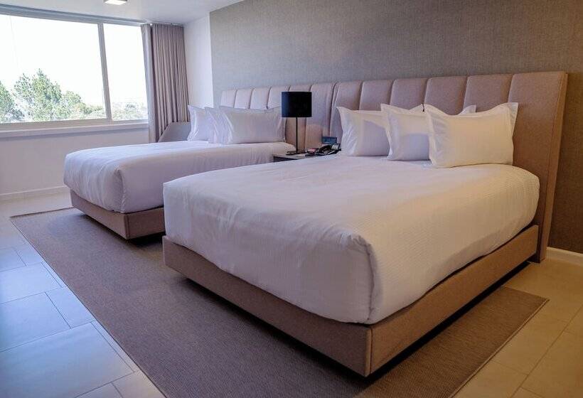 Tama Eurobuilding Hotel San Cristobal