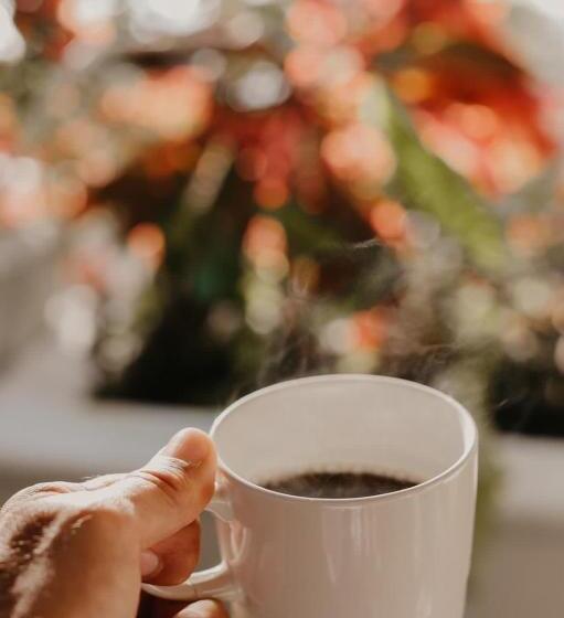 فندق Sun Ha Bacalar