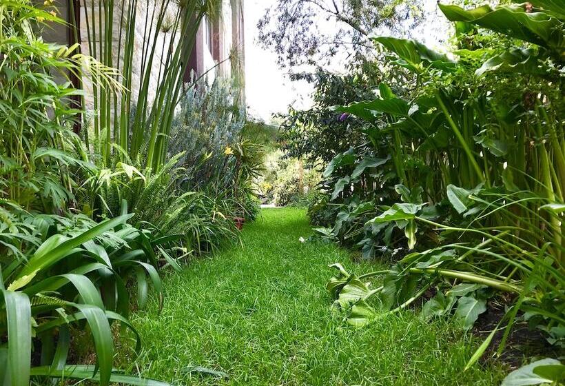 Ilalo Garden Hotel & Restaurant