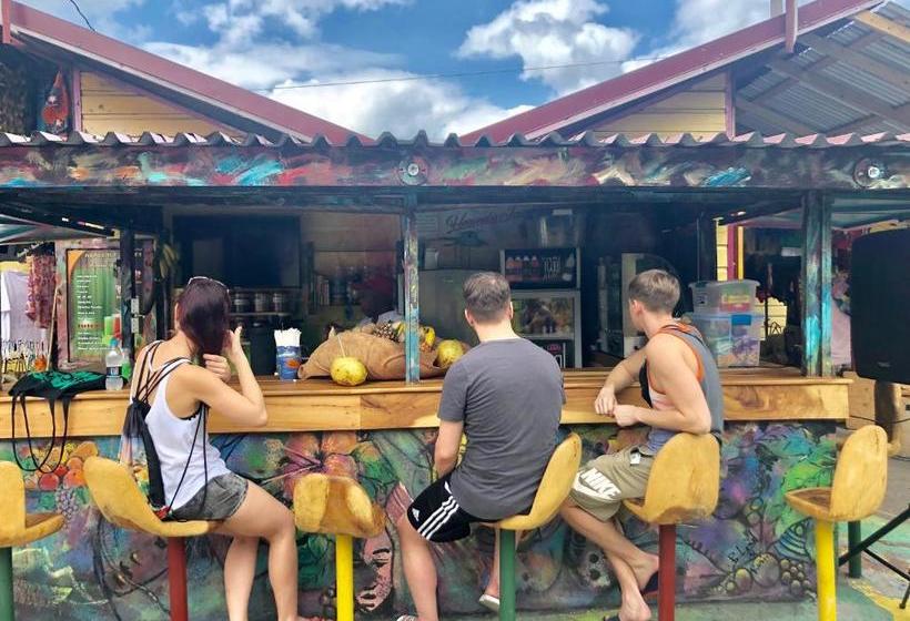 Reggae Hostel Montego Bay