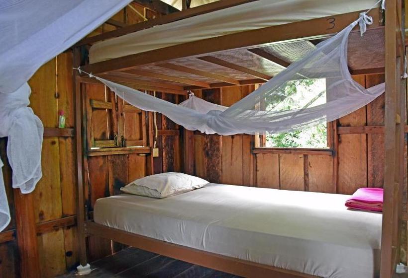 Mad Monkey Koh Rong Samloem   Hostel