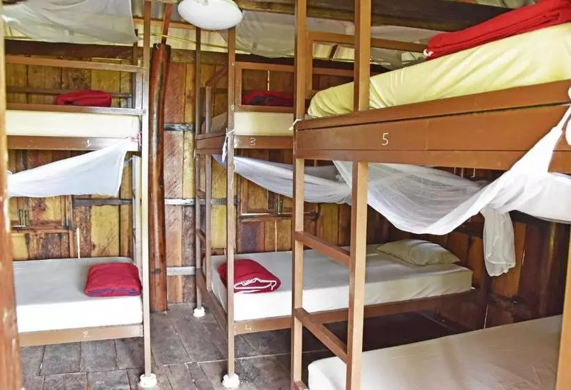 Mad Monkey Koh Rong Samloem   Hostel
