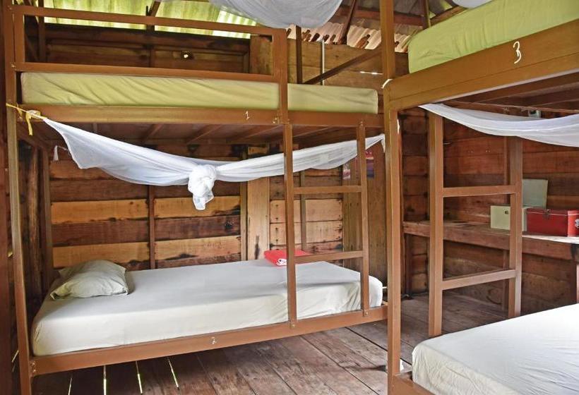 Mad Monkey Koh Rong Samloem   Hostel