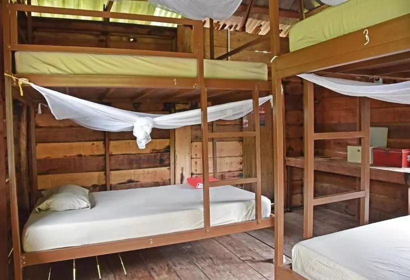 Mad Monkey Koh Rong Samloem   Hostel