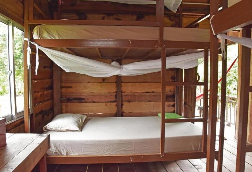 Mad Monkey Koh Rong Samloem   Hostel