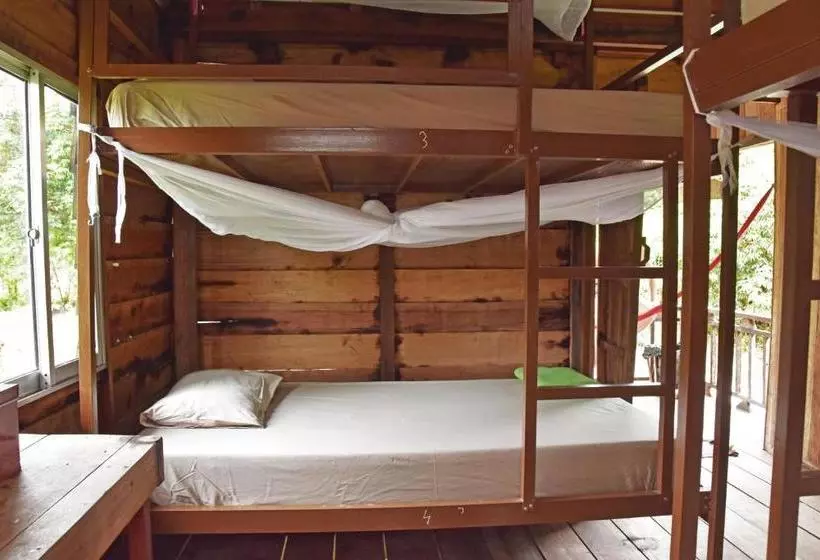 Mad Monkey Koh Rong Samloem   Hostel