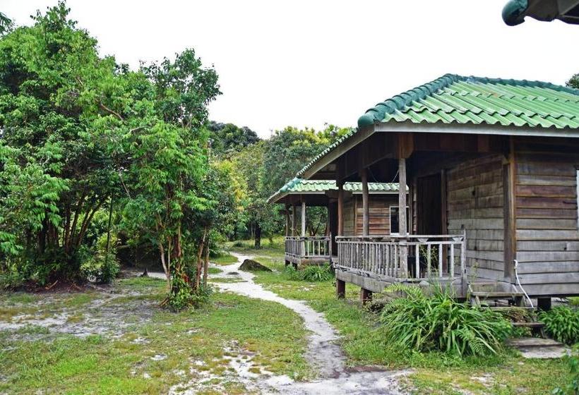 Mad Monkey Koh Rong Samloem   Hostel