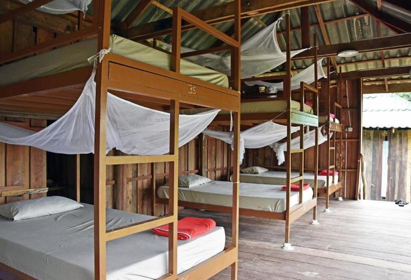 Mad Monkey Koh Rong Samloem   Hostel