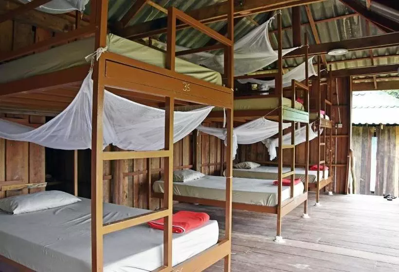 Mad Monkey Koh Rong Samloem   Hostel