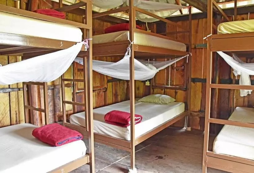 Mad Monkey Koh Rong Samloem   Hostel