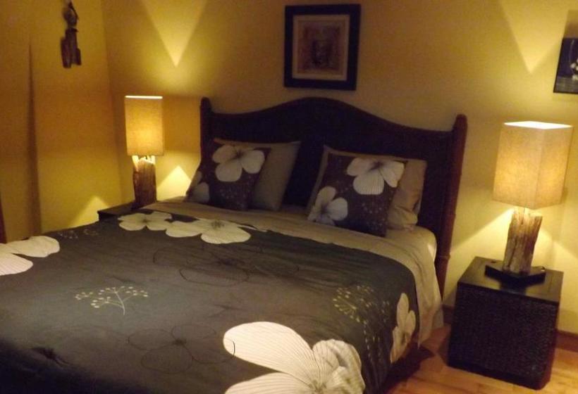 Domaine Steinbach Cidrerie B&b Distillerie