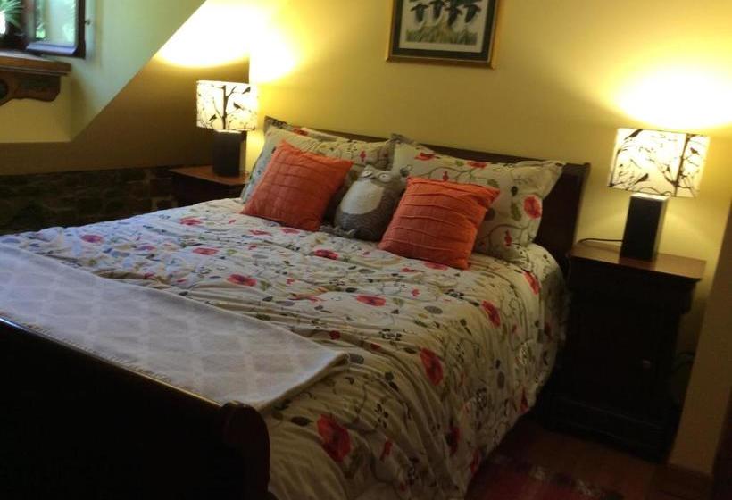 Domaine Steinbach Cidrerie B&b Distillerie