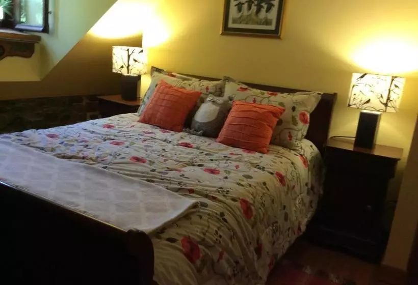 Domaine Steinbach Cidrerie B&b Distillerie