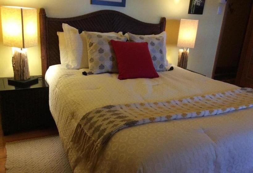 Domaine Steinbach Cidrerie B&b Distillerie