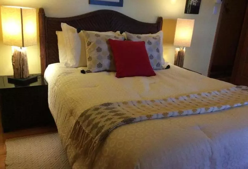 Domaine Steinbach Cidrerie B&b Distillerie