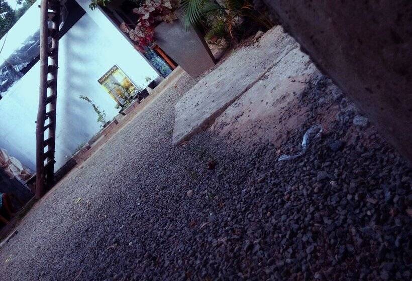 ホテル Summer Villa Ella