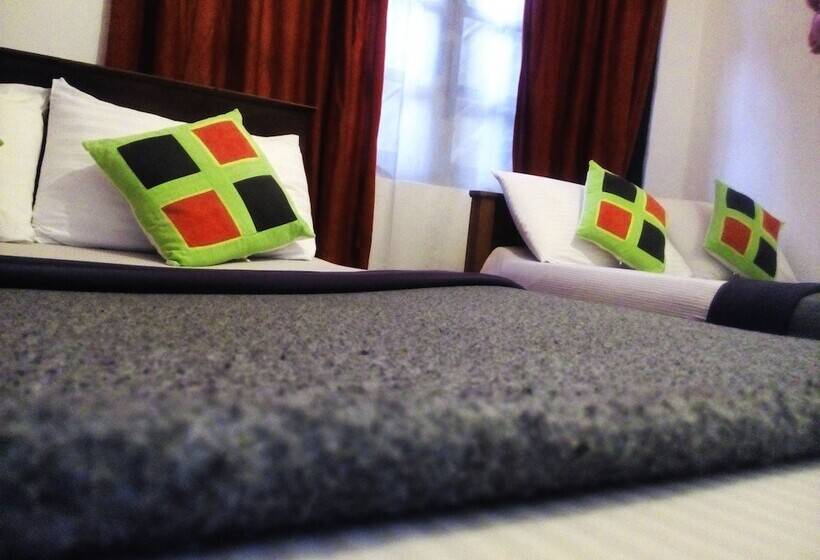 ホテル Summer Villa Ella