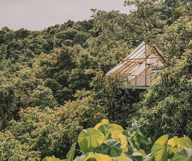 בית מלון כפרי The Birdhouse El Nido   Glamping