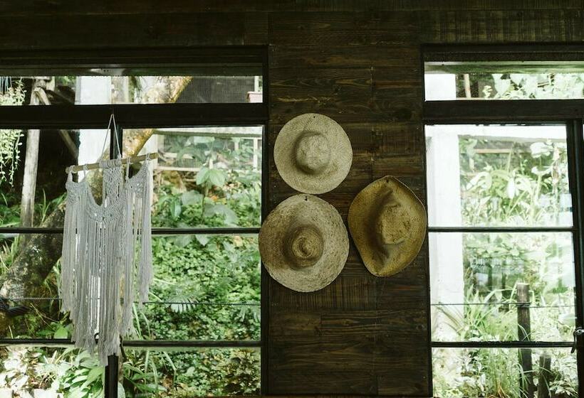 בית מלון כפרי The Birdhouse El Nido   Glamping