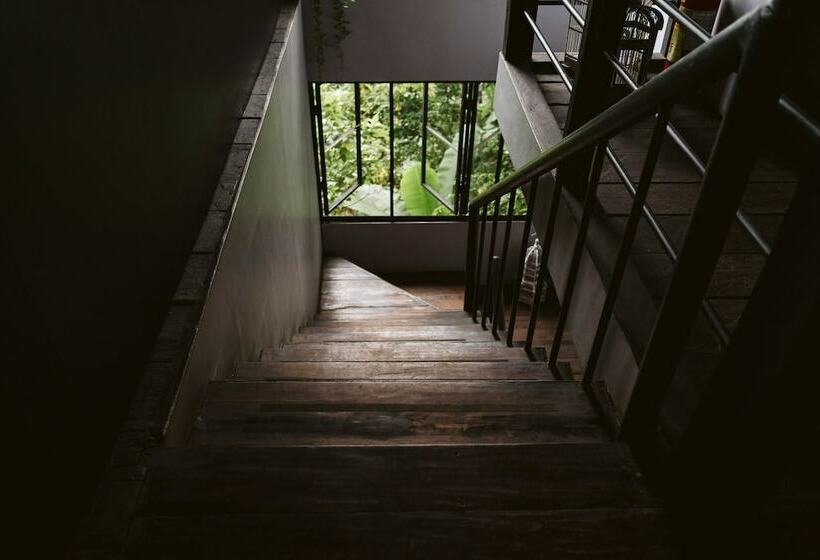 בית מלון כפרי The Birdhouse El Nido   Glamping