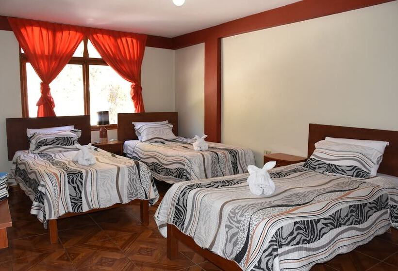 تختخواب و صبحانه Hostal Sun Palace Inn