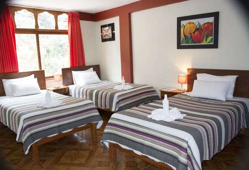 تختخواب و صبحانه Hostal Sun Palace Inn