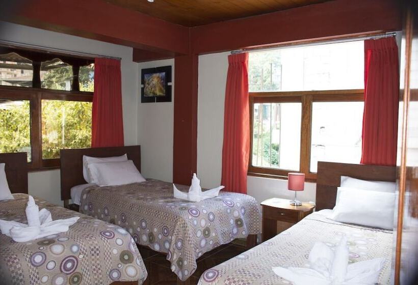 تختخواب و صبحانه Hostal Sun Palace Inn