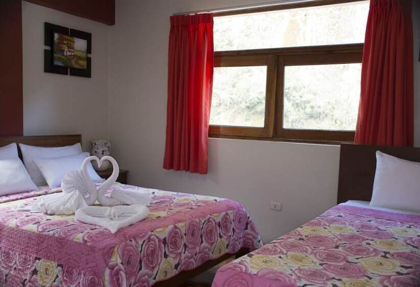 تختخواب و صبحانه Hostal Sun Palace Inn