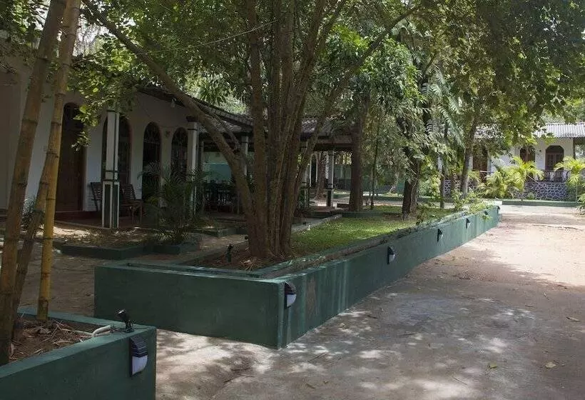 ホテル Thuruliya Lodge Habarana