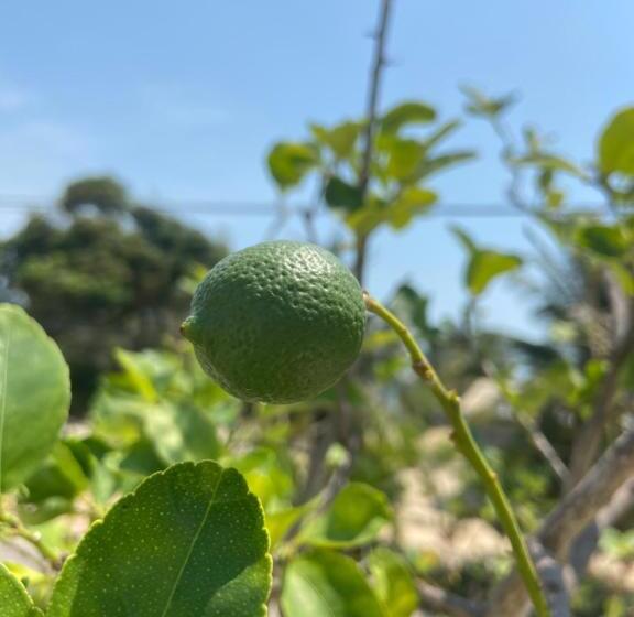 Crash Pad Adventure Hostel