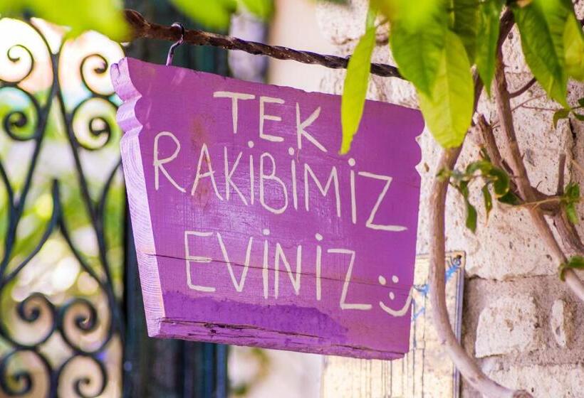 فندق Aişem By Hire