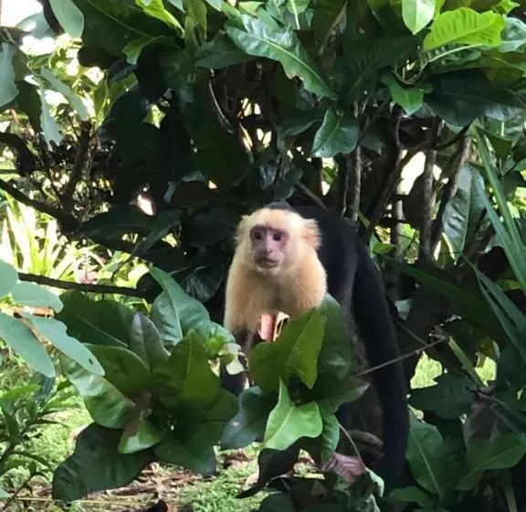 Hotelli El Pargo Feliz