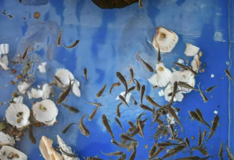 Kåseberga Gårdshotell & Spa