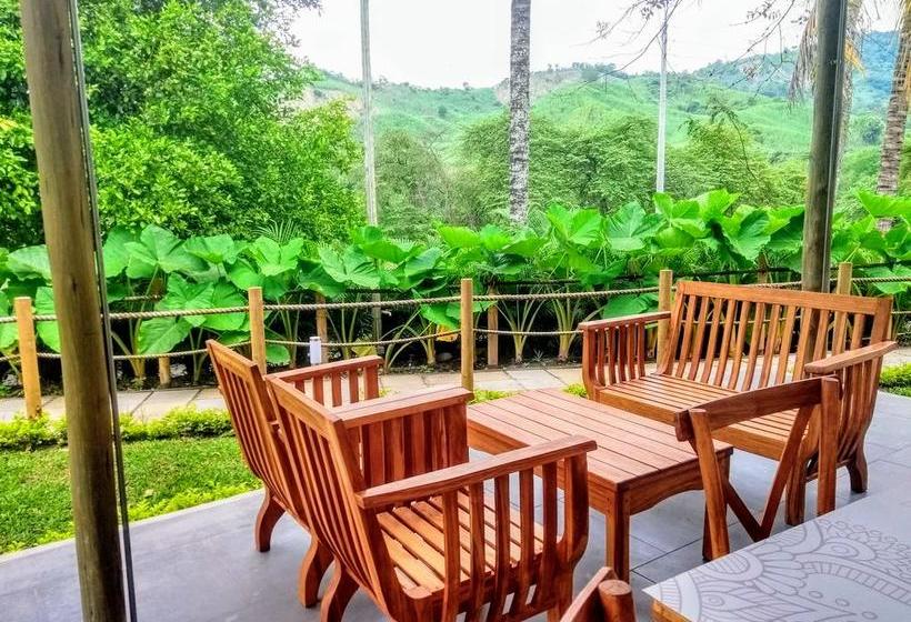 Mandala Hotel Concept