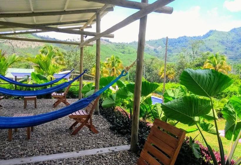 Mandala Hotel Concept