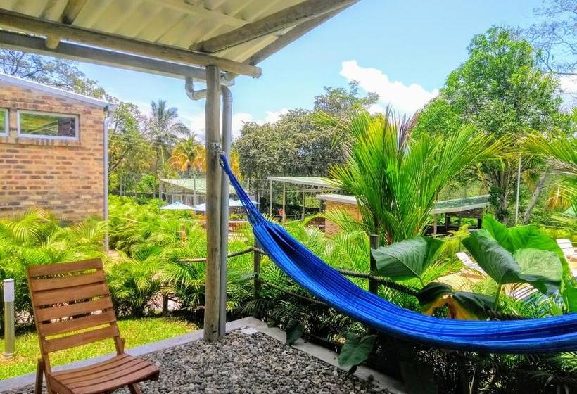 Mandala Hotel Concept