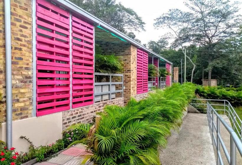 Mandala Hotel Concept