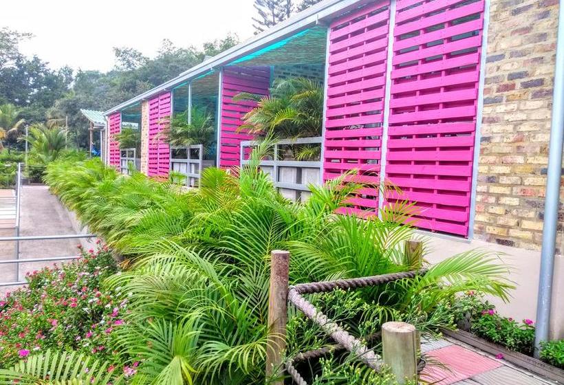 Mandala Hotel Concept