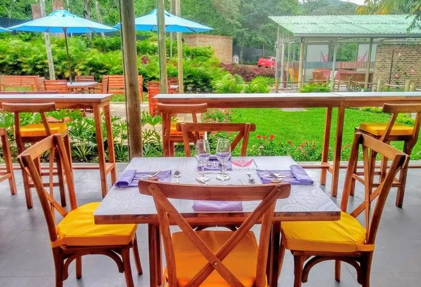 Mandala Hotel Concept